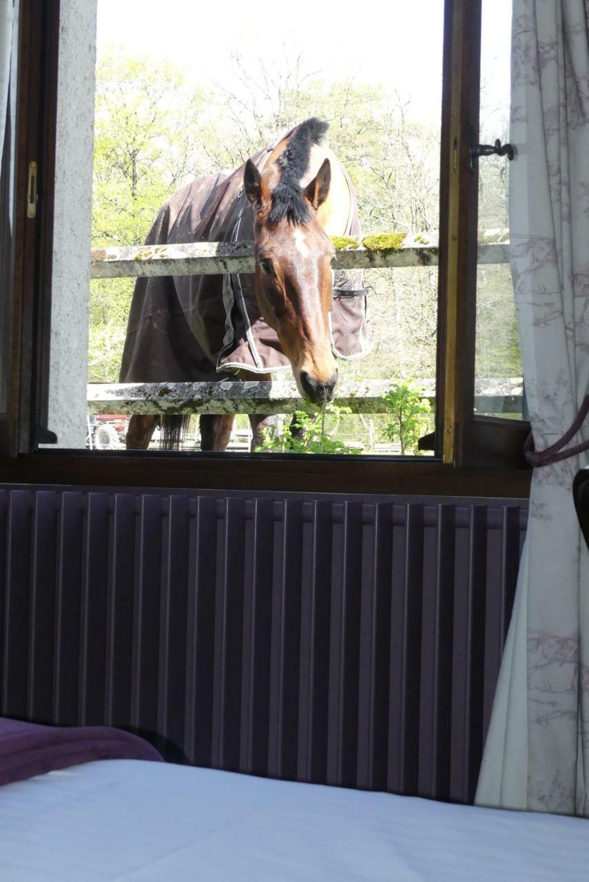 Chambres Et Table D'Hotes Les Machetieres Ланже Екстериор снимка
